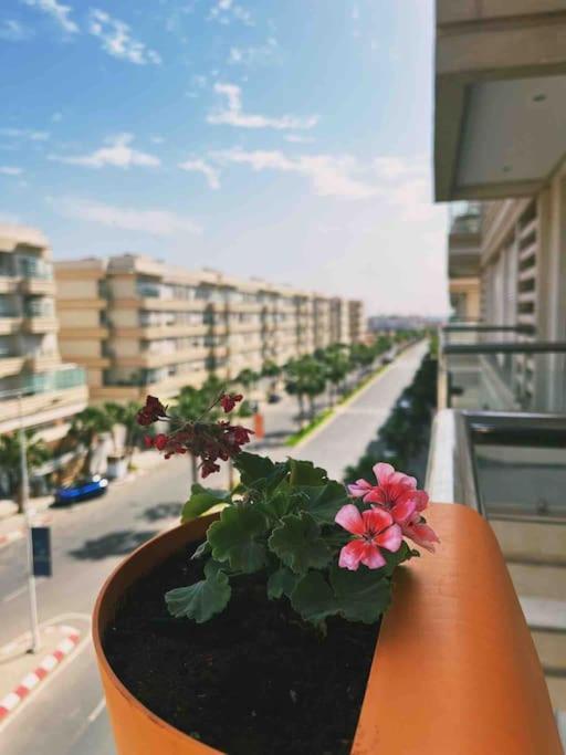 Luxueux Apartment Agadir